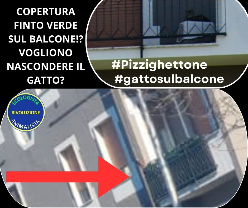 Che fine ha fatto il gatto sul balcone di Pizzighettone?